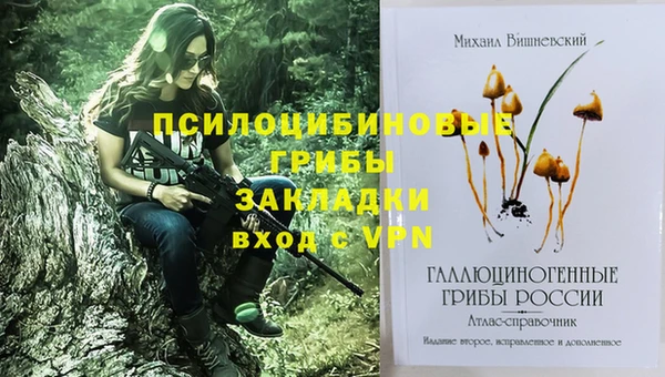 сатива Алексин