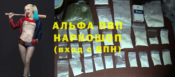 крисы Алзамай