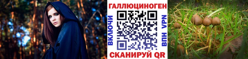 Галлюциногенные грибы мухоморы  blacksprut вход  Магадан 