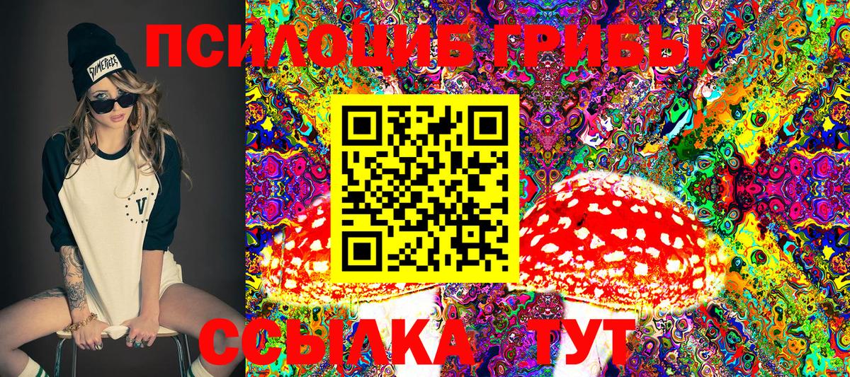 Галлюциногенные грибы GOLDEN TEACHER Магадан