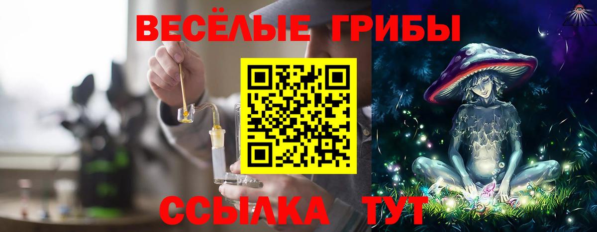 Галлюциногенные грибы Psilocybe  Вход с VPN  Магадан 